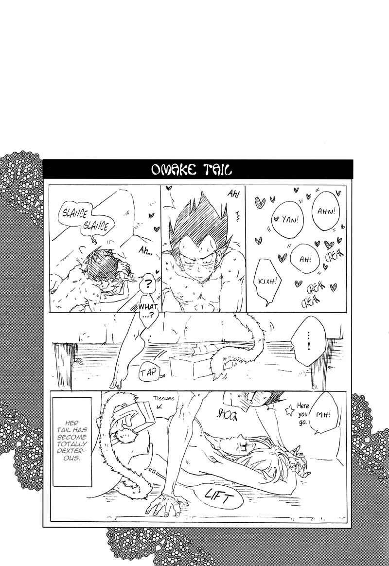 Page 34 Chapter Unknown_6db0 Dragon Ball Z - Tail Book (Doujinshi)