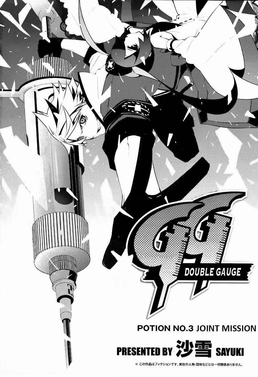 Page 3 Chapter 3 Double Gauge