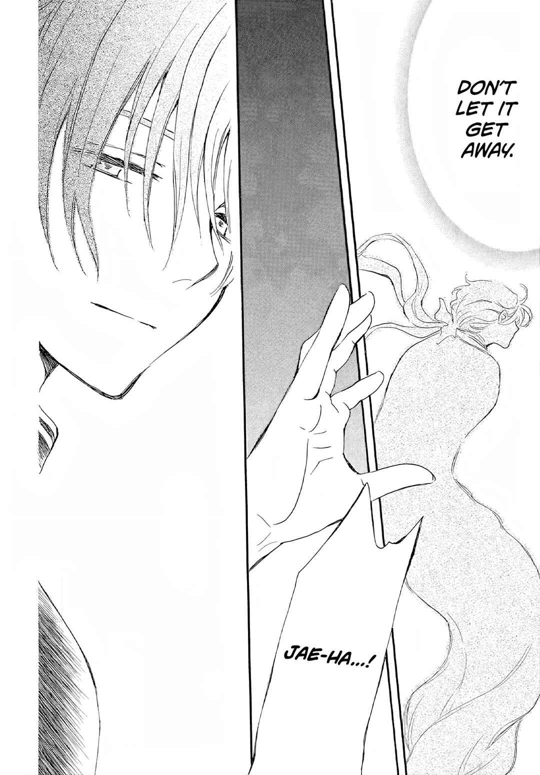 Page 28 Chapter 246 Akatsuki no Yona