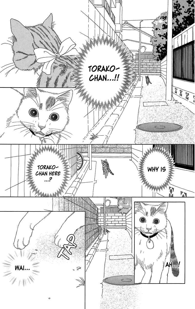 Page 3 Chapter 16 Zoccha no Nichijou