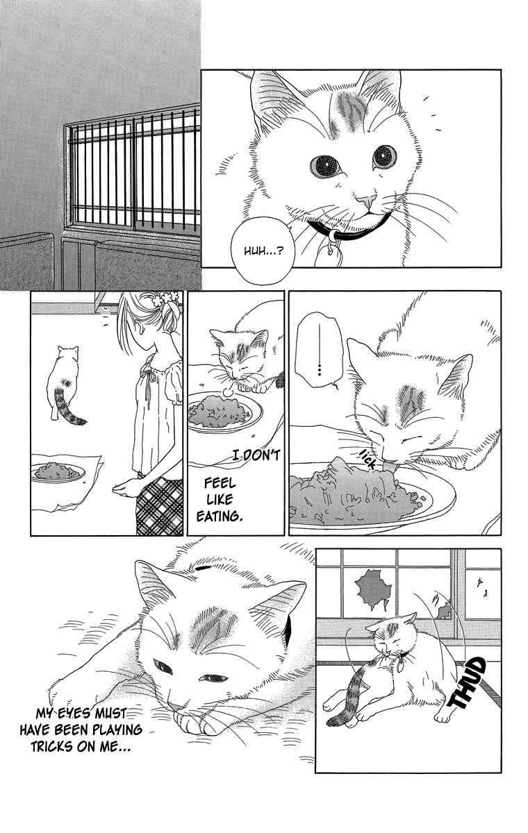 Page 5 Chapter 16 Zoccha no Nichijou
