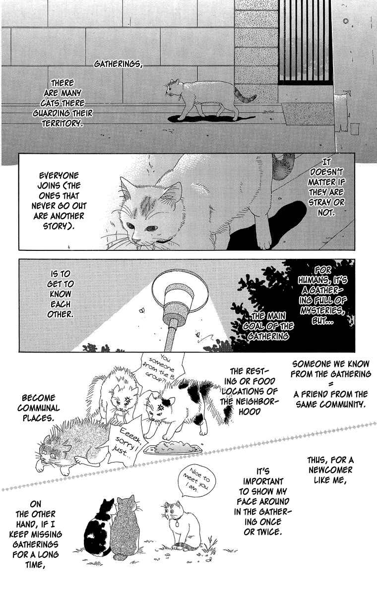 Page 8 Chapter 16 Zoccha no Nichijou