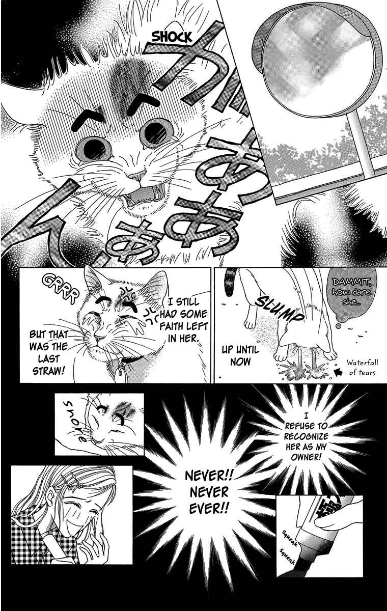 Page 13 Chapter 25 Zoccha no Nichijou