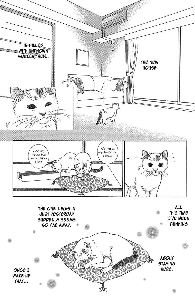 Page 13 Chapter 11 Zoccha no Nichijou