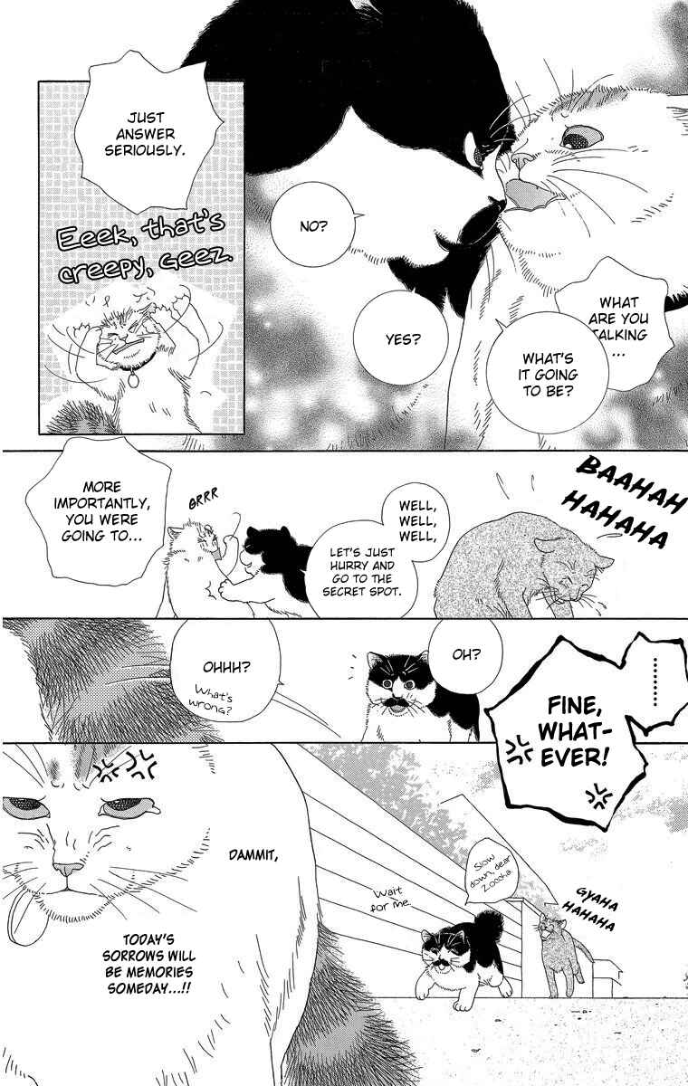 Page 12 Chapter 15 Zoccha no Nichijou