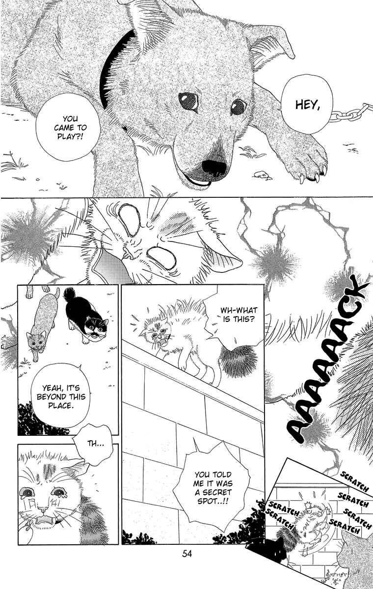 Page 8 Chapter 15 Zoccha no Nichijou
