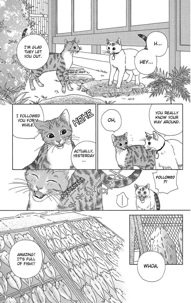 Page 11 Chapter 20 Zoccha no Nichijou