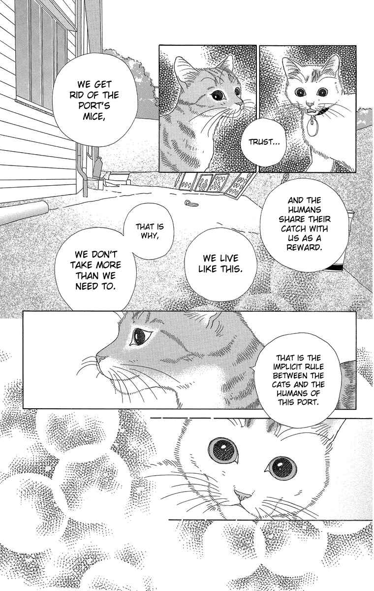 Page 13 Chapter 20 Zoccha no Nichijou
