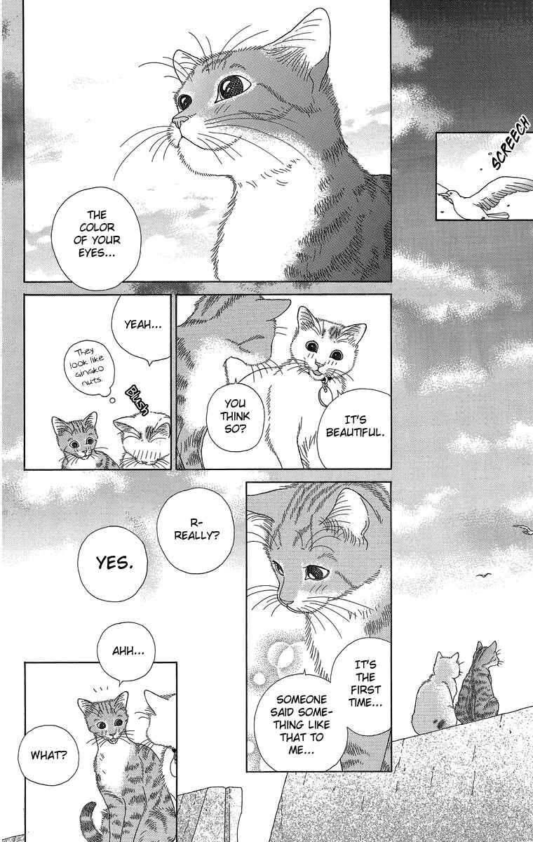 Page 14 Chapter 20 Zoccha no Nichijou
