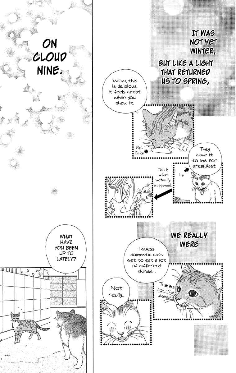 Page 17 Chapter 20 Zoccha no Nichijou