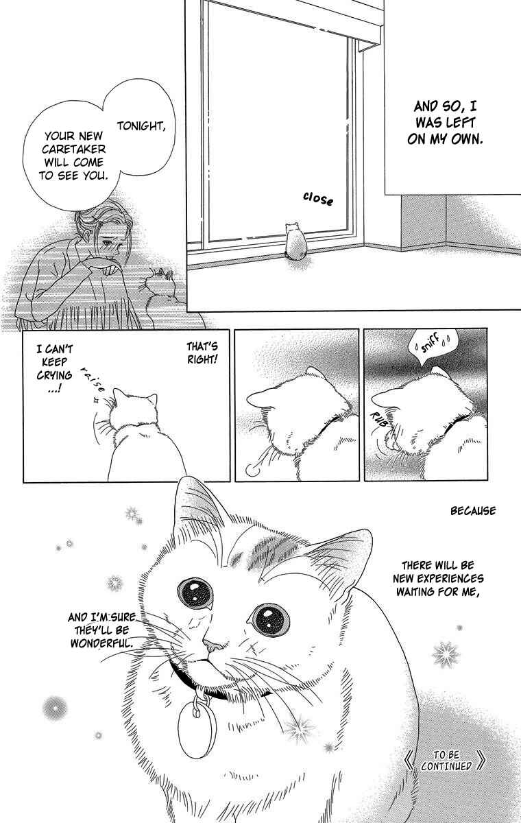 Page 12 Chapter 23 Zoccha no Nichijou