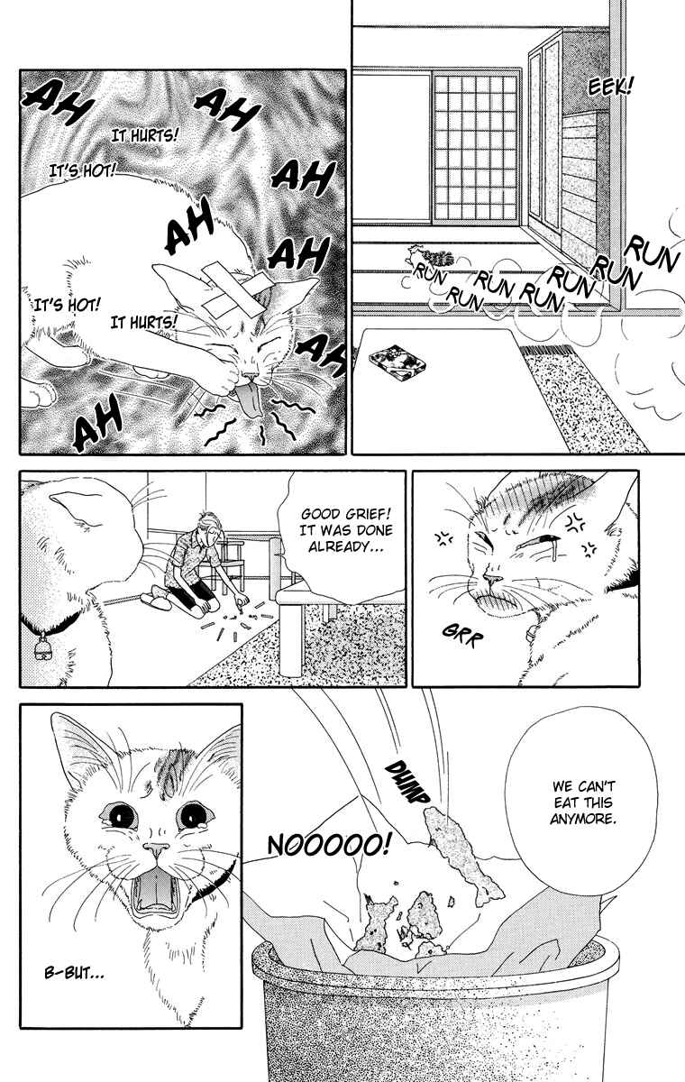 Page 6 Chapter 10.2 Zoccha no Nichijou