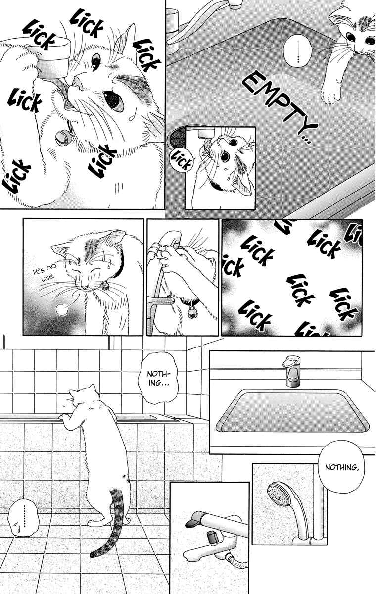 Page 5 Chapter 7 Zoccha no Nichijou
