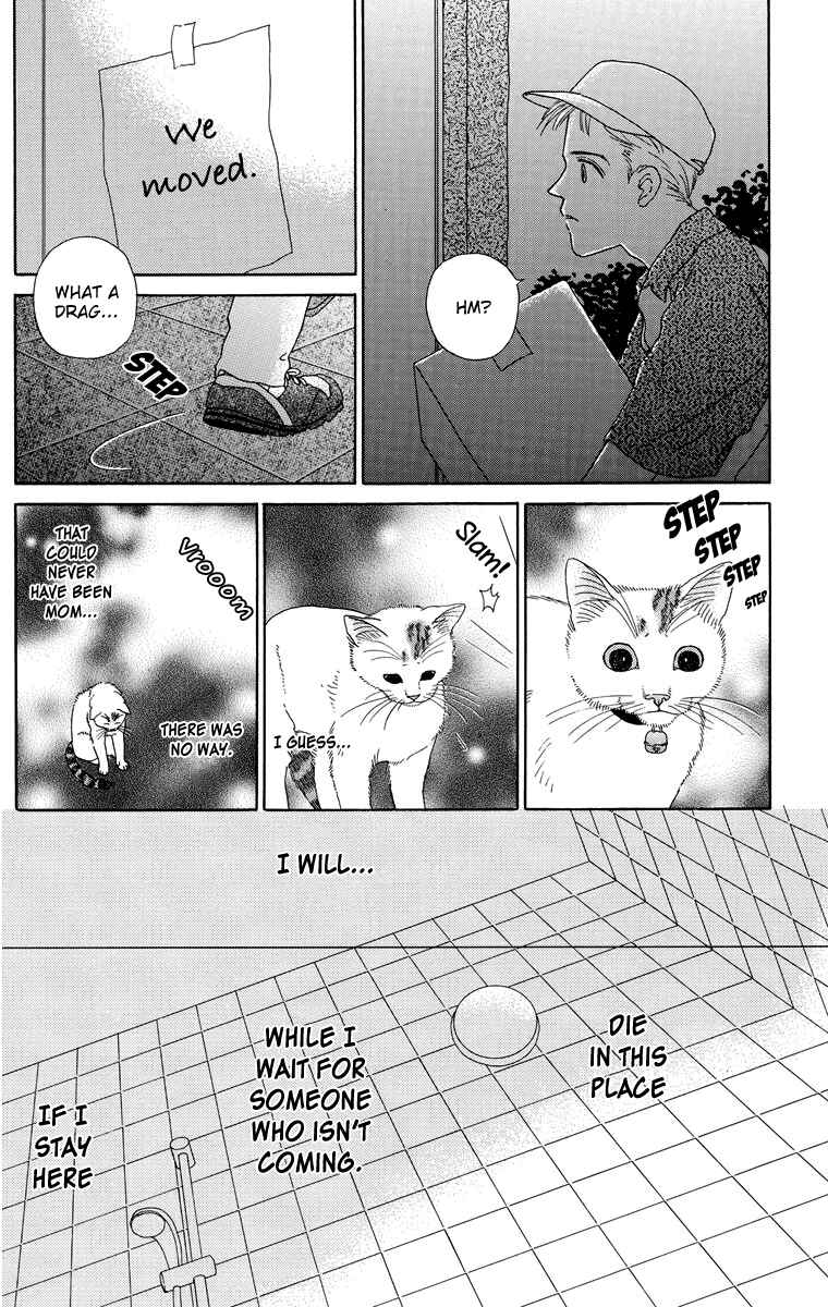 Page 8 Chapter 7 Zoccha no Nichijou