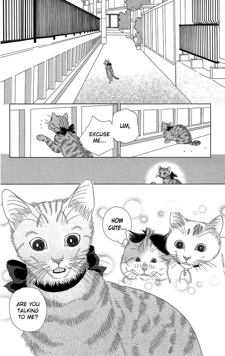 Page 10 Chapter 21 Zoccha no Nichijou