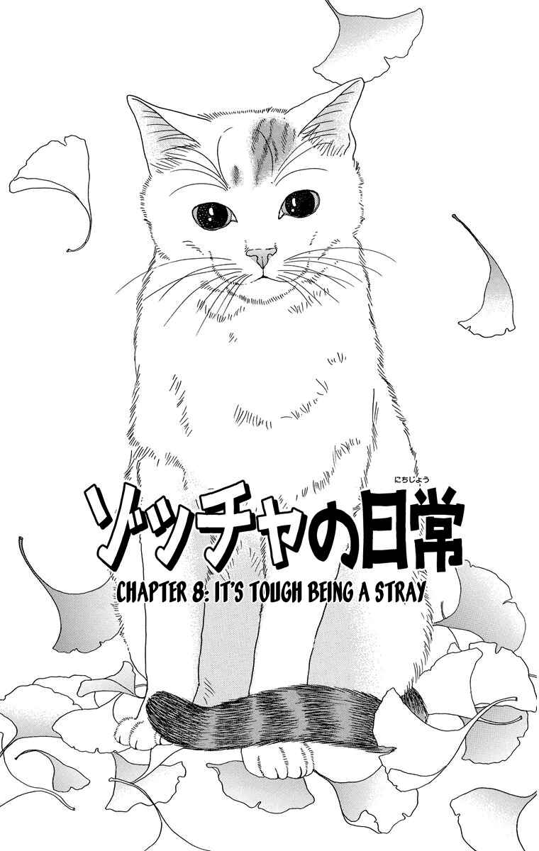 Page 1 Chapter 8 Zoccha no Nichijou