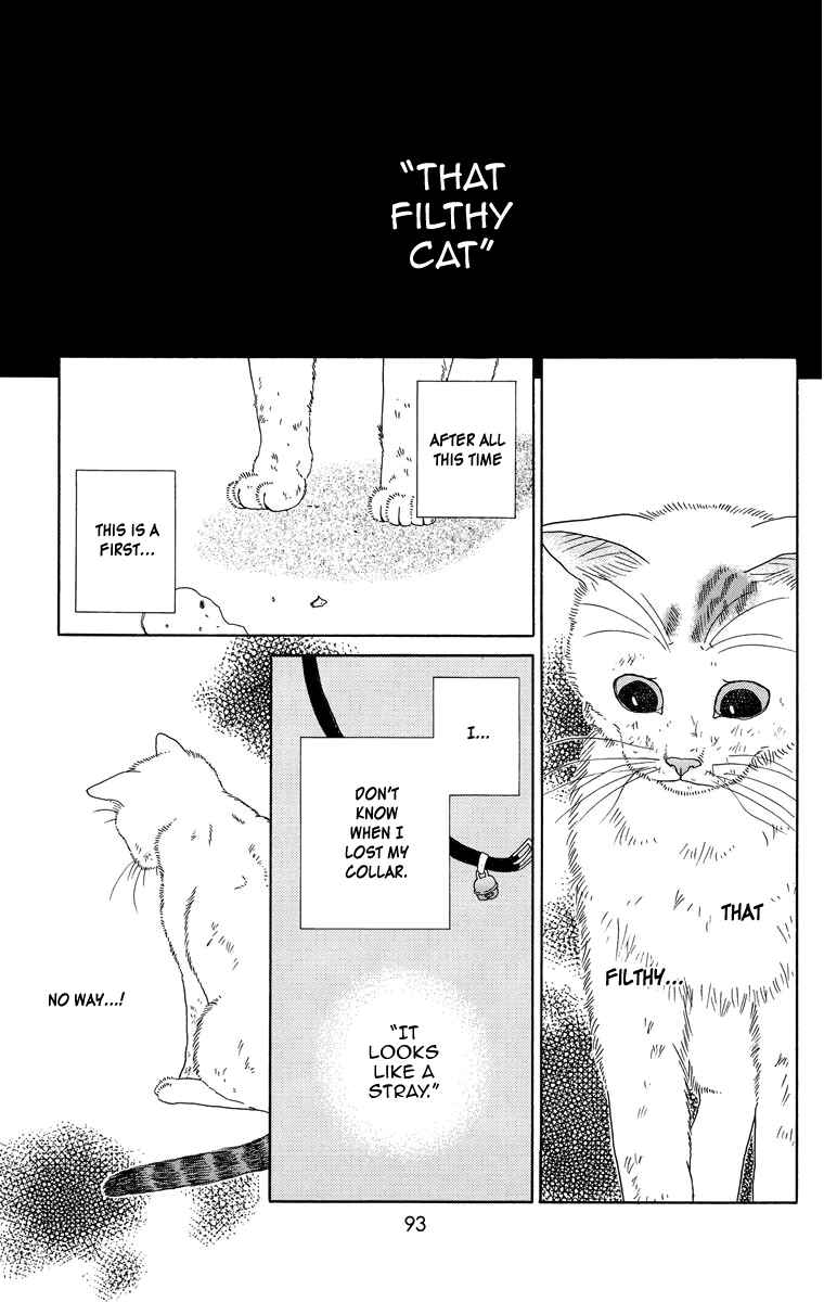 Page 11 Chapter 8 Zoccha no Nichijou