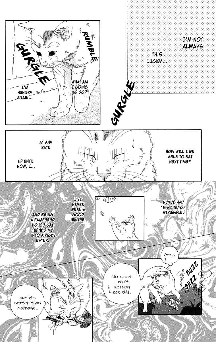 Page 8 Chapter 8 Zoccha no Nichijou