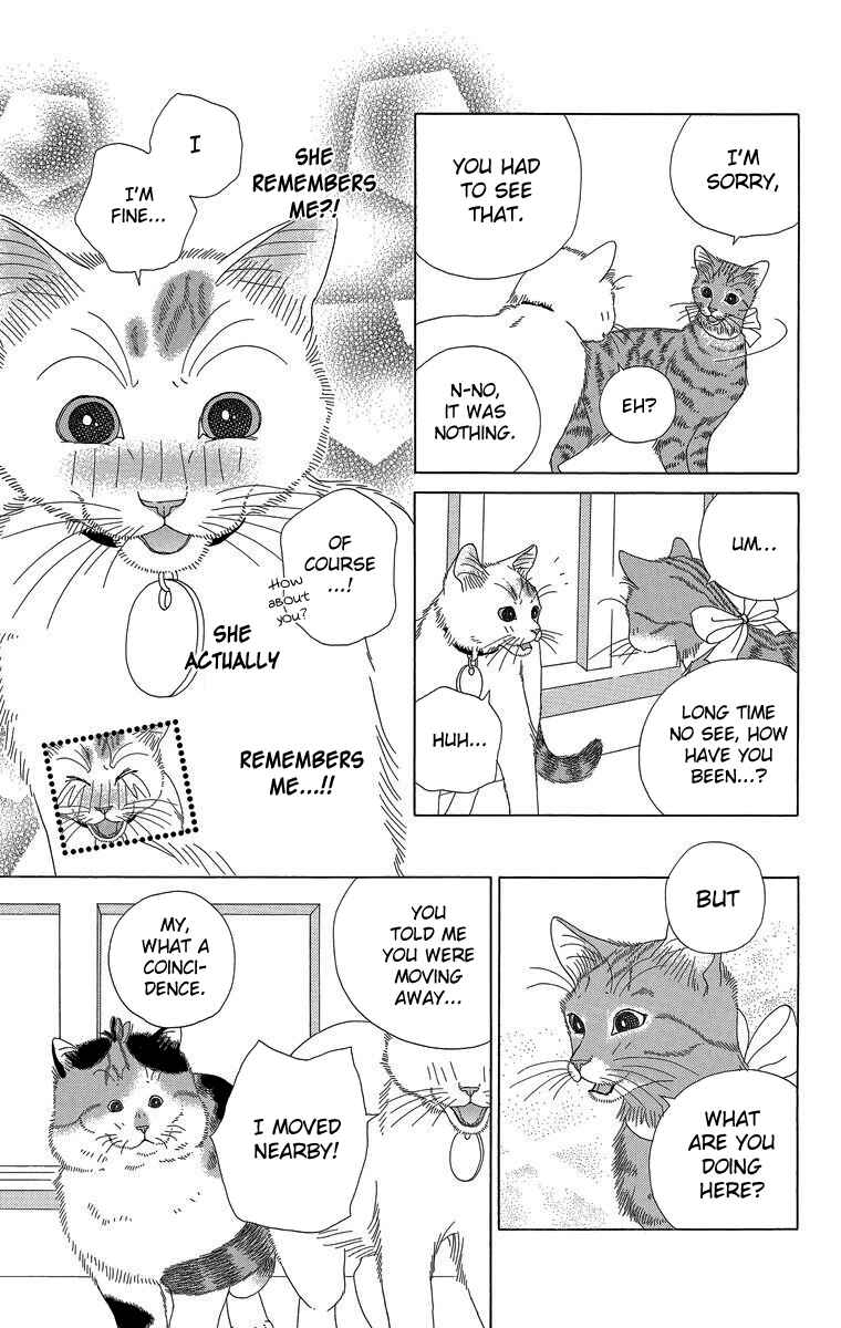 Page 7 Chapter 22 Zoccha no Nichijou