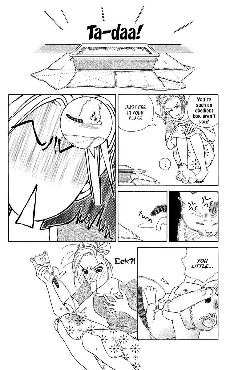 Page 17 Chapter 10.1 Zoccha no Nichijou