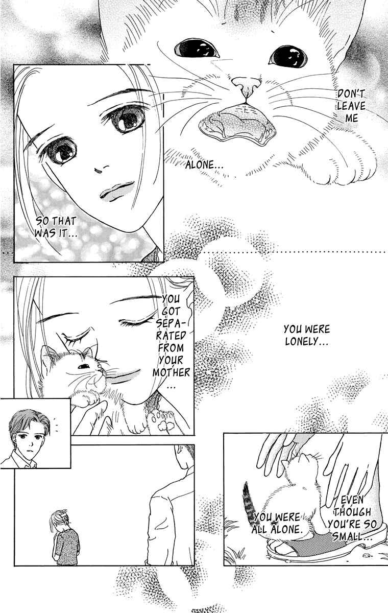 Page 29 Chapter 10.1 Zoccha no Nichijou