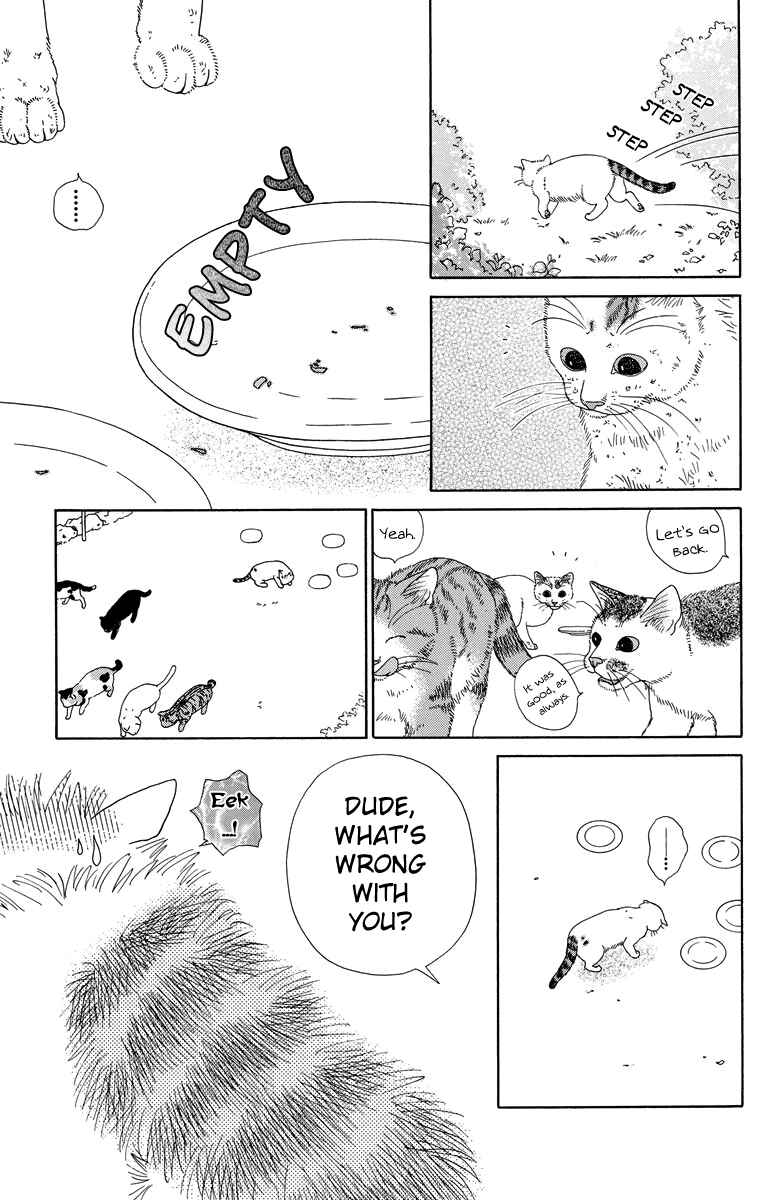 Page 5 Chapter 9 Zoccha no Nichijou