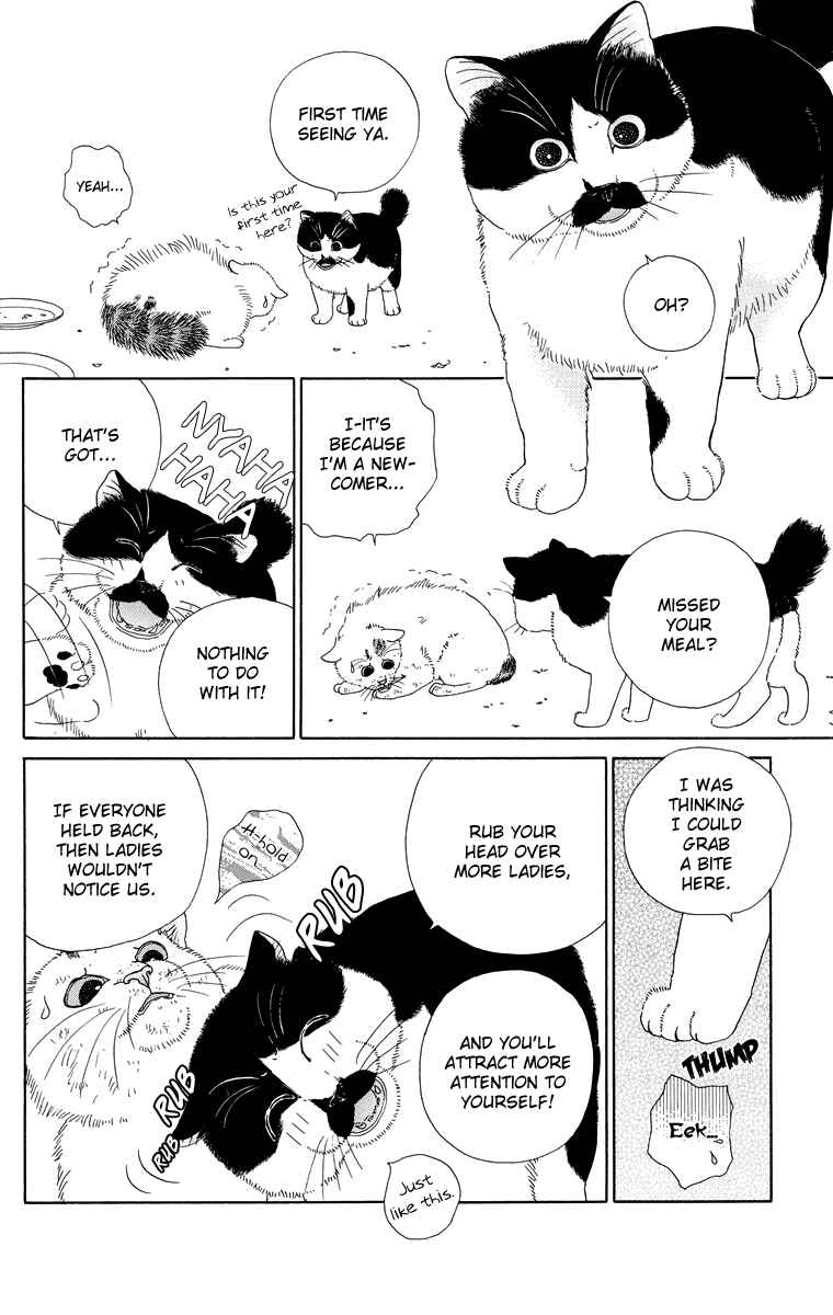 Page 6 Chapter 9 Zoccha no Nichijou