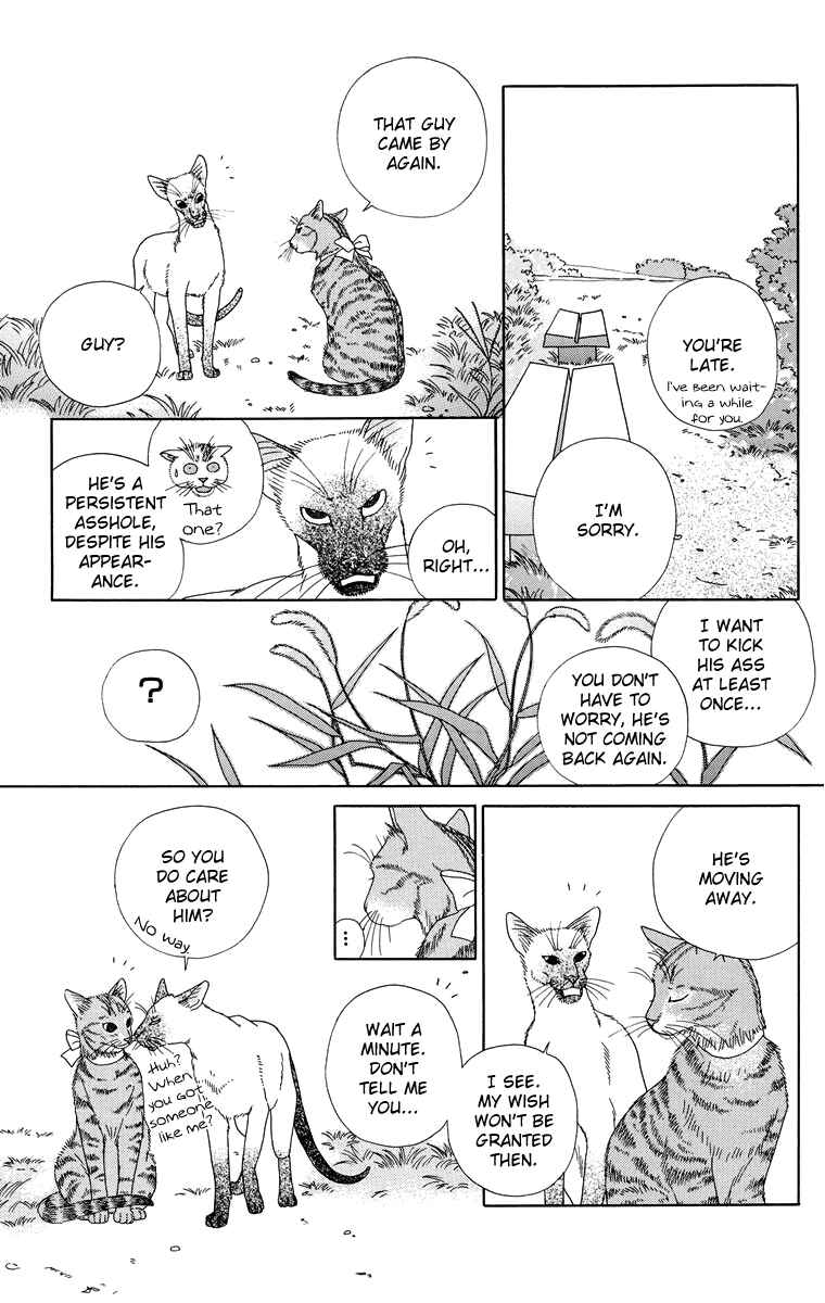 Page 13 Chapter 6 Zoccha no Nichijou