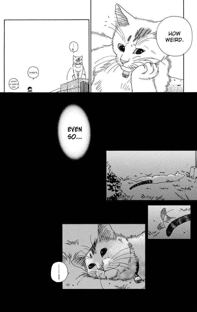 Page 6 Chapter 6 Zoccha no Nichijou