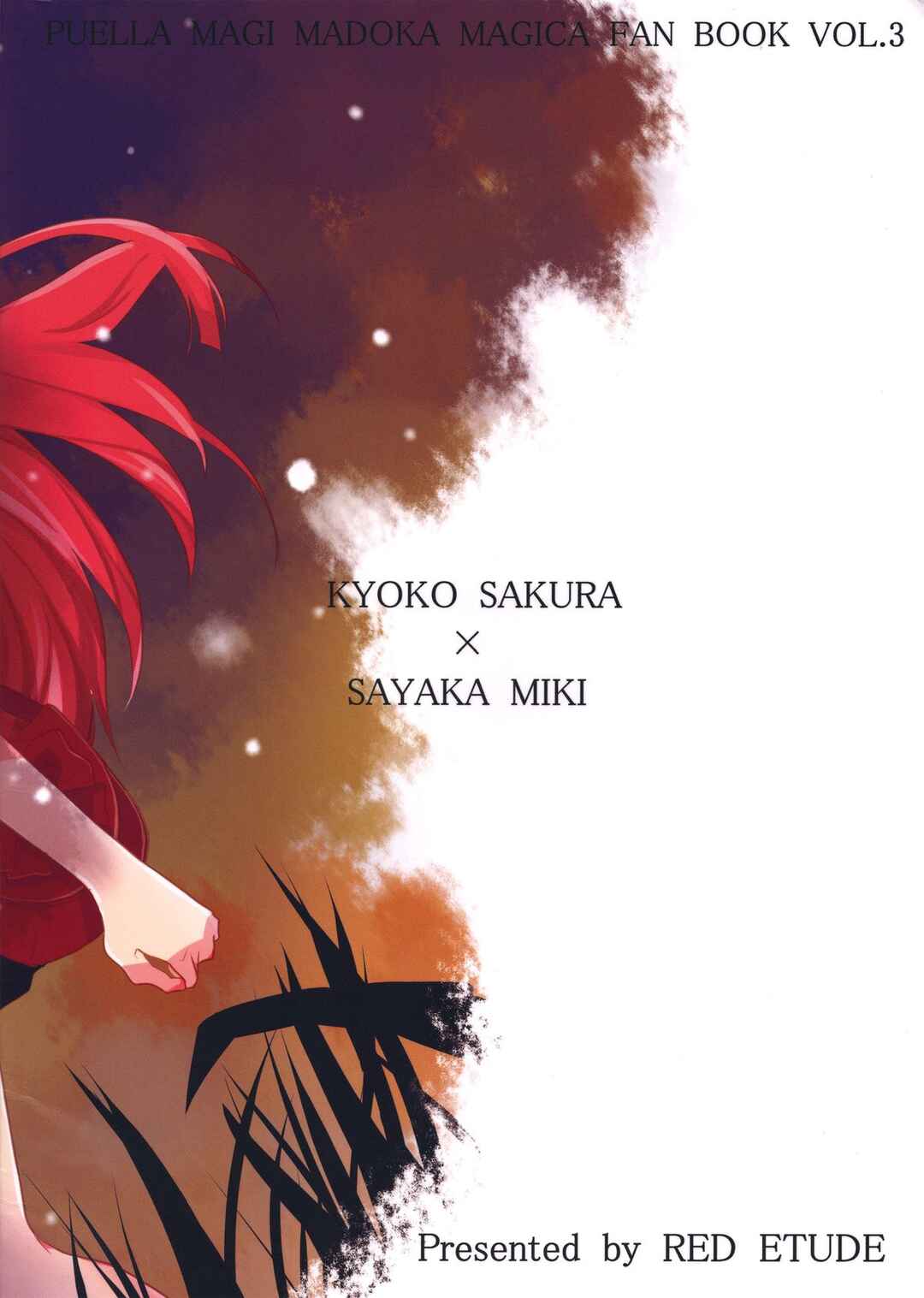 Page 26 Chapter 3 Mahou Shoujo Madoka★Magica - Koisuru Koto Shika Dekinai Mitai ni. (Doujinshi)