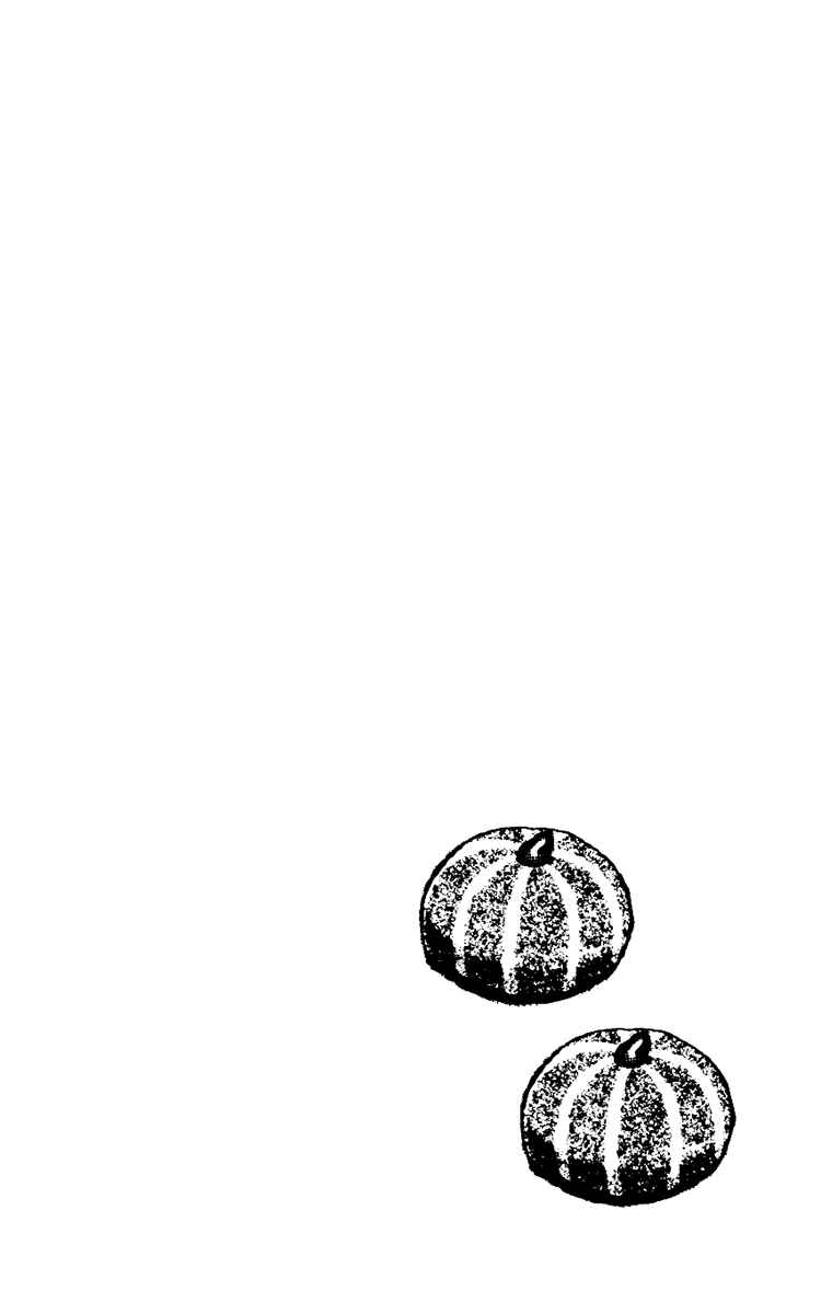 Page 49 Chapter 5 Fukuyadou Honpo