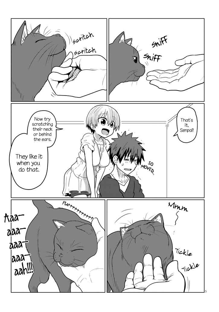 Page 5 Chapter 21 Uzaki-chan wa Asobitai!