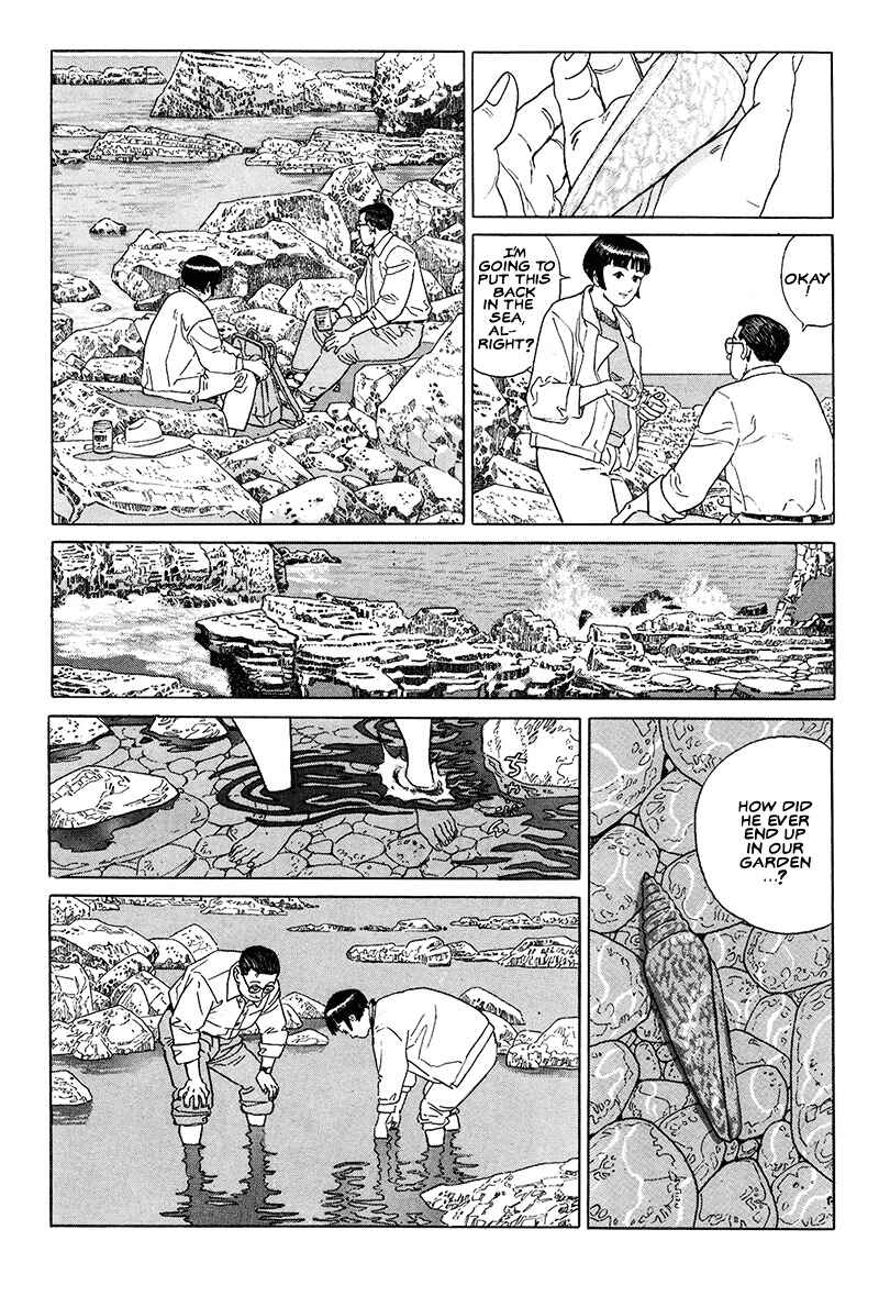 Page 5 Chapter 17 The Walking Man