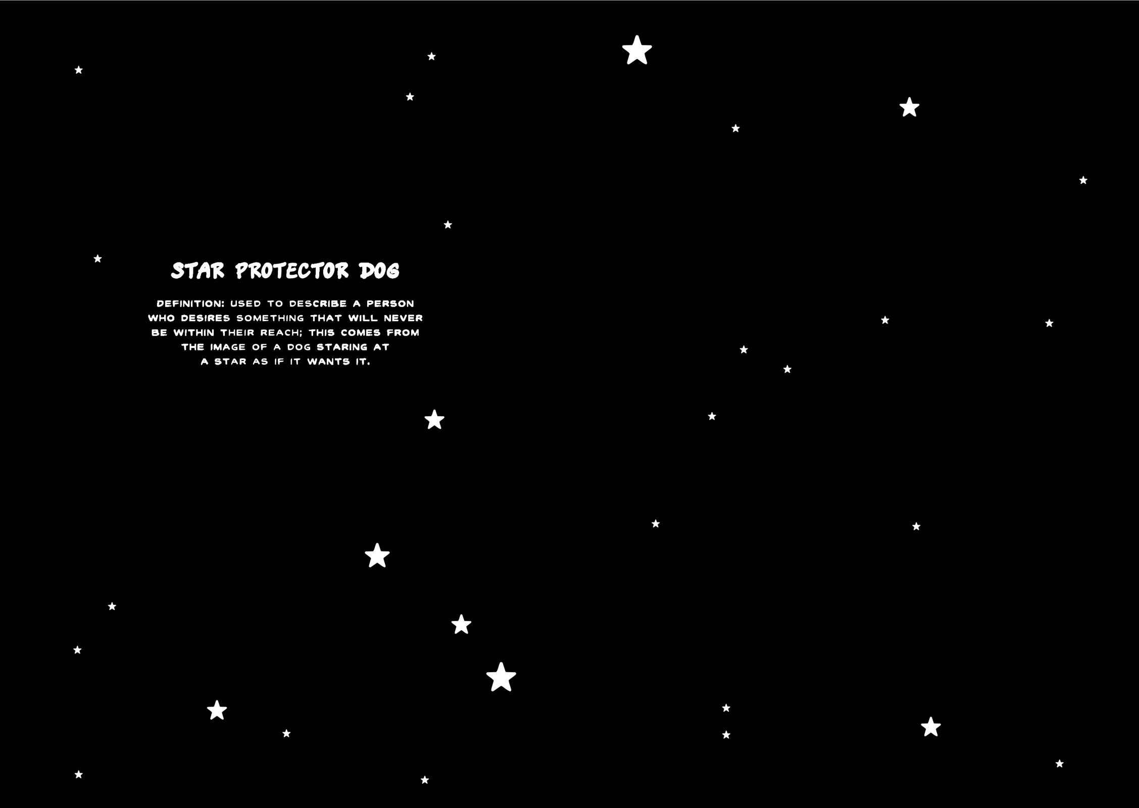 Page 3 Chapter 1 Stargazing Dog