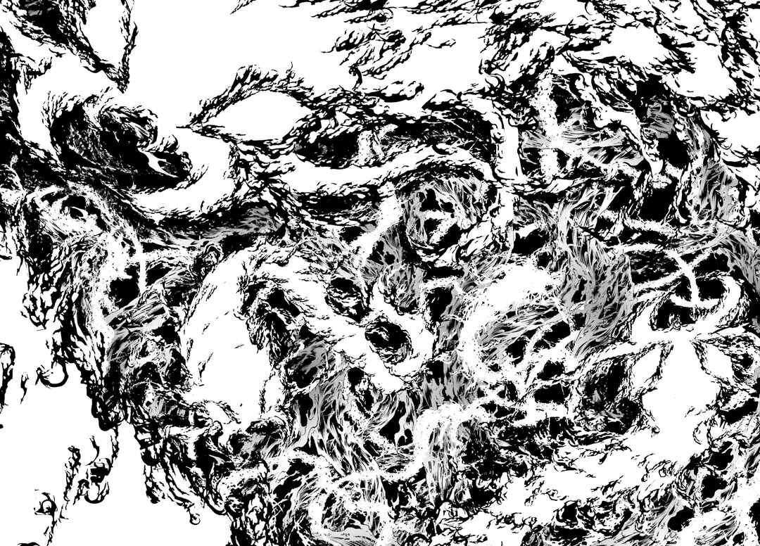 Page 15 Chapter 11 Modern Romanesco