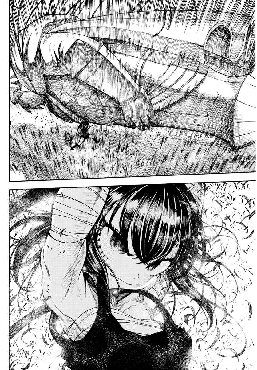 Page 13 Chapter 4 Memesis