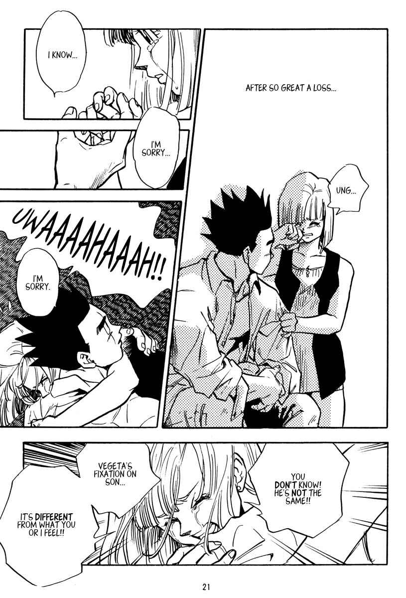 Page 21 Chapter Unknown_655c Dragon Ball - Wolf Storm (Doujinshi)