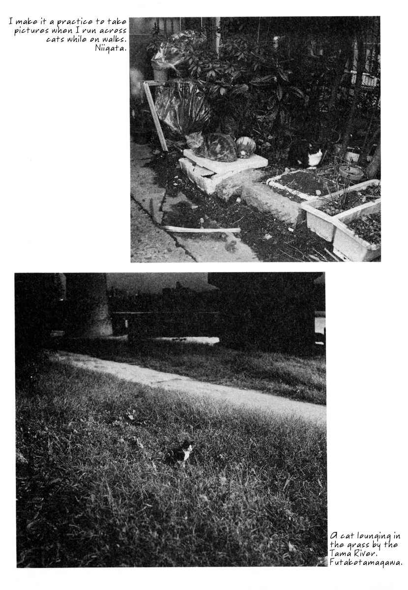 Page 3 Chapter 21.5 Japan Tengu Party Illustrated