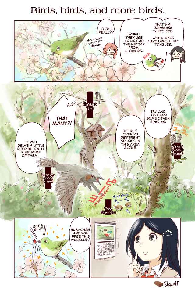 Page 1 Chapter 14 Torimibu no Takanashi-san