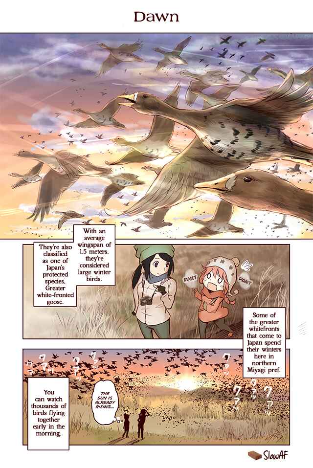 Page 1 Chapter 2 Torimibu no Takanashi-san
