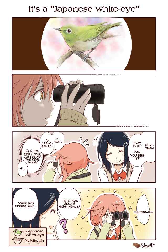 Page 1 Chapter 13 Torimibu no Takanashi-san