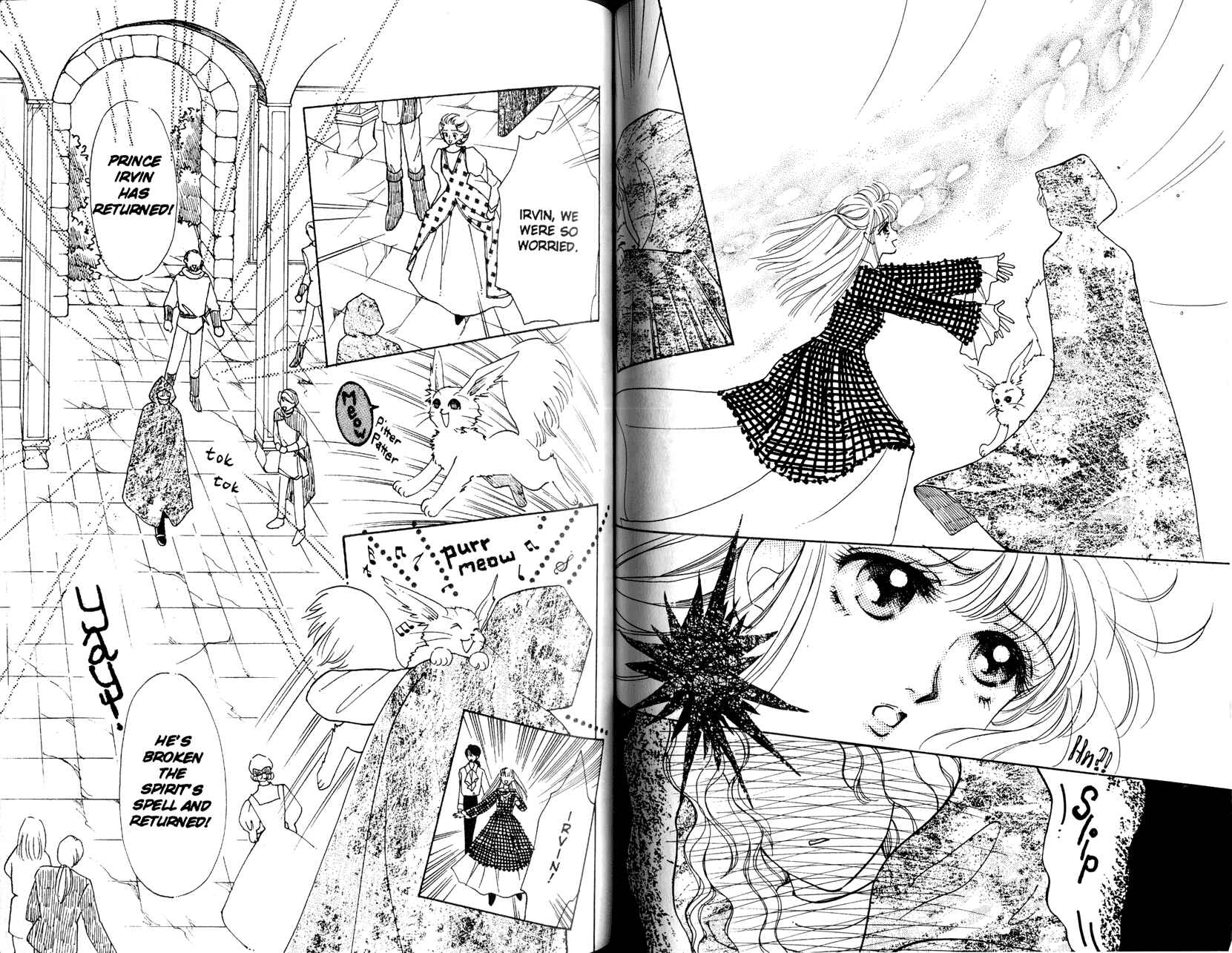 Page 16 Chapter 2 Princess Prince