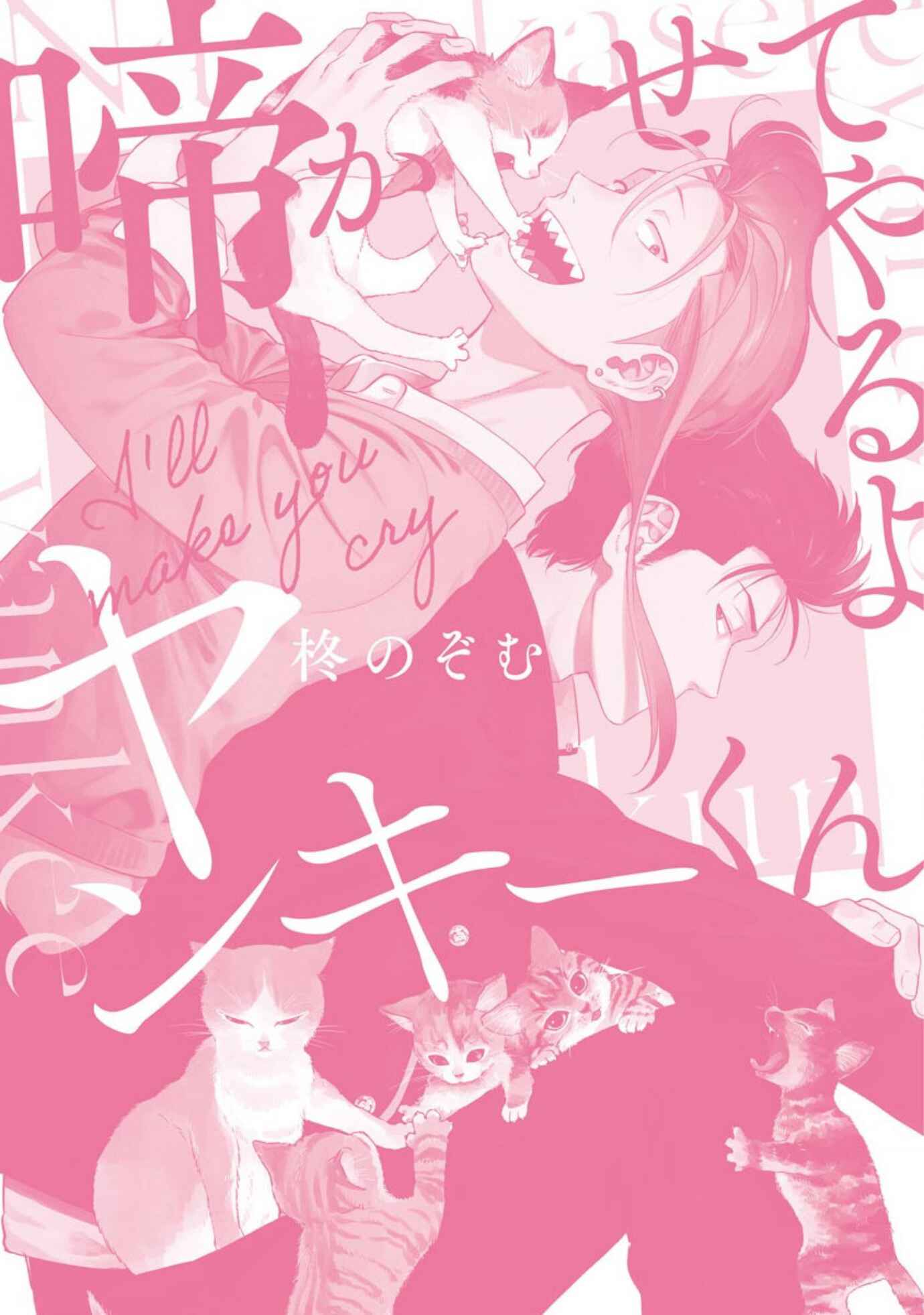 Page 11 Chapter 5.5 Nakasete Yaru yo Yankee-kun