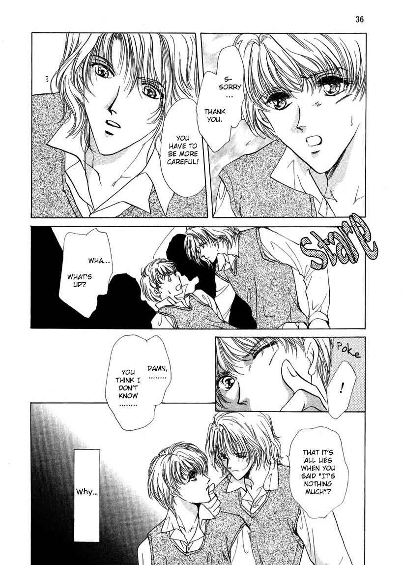 Page 9 Chapter 2 Gerbera