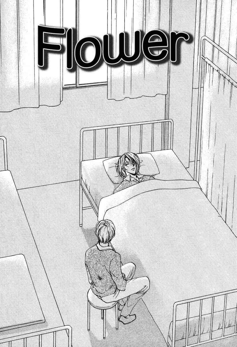 Page 3 Chapter 6 Gerbera