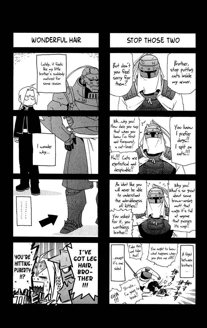 Page 46 Chapter 16 Fullmetal Alchemist