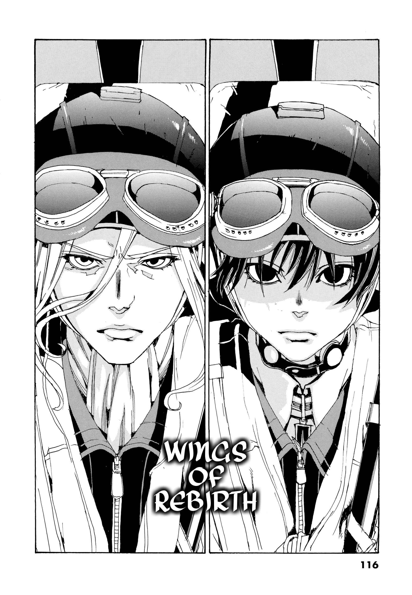 Page 2 Chapter 8 Eisen Flügel