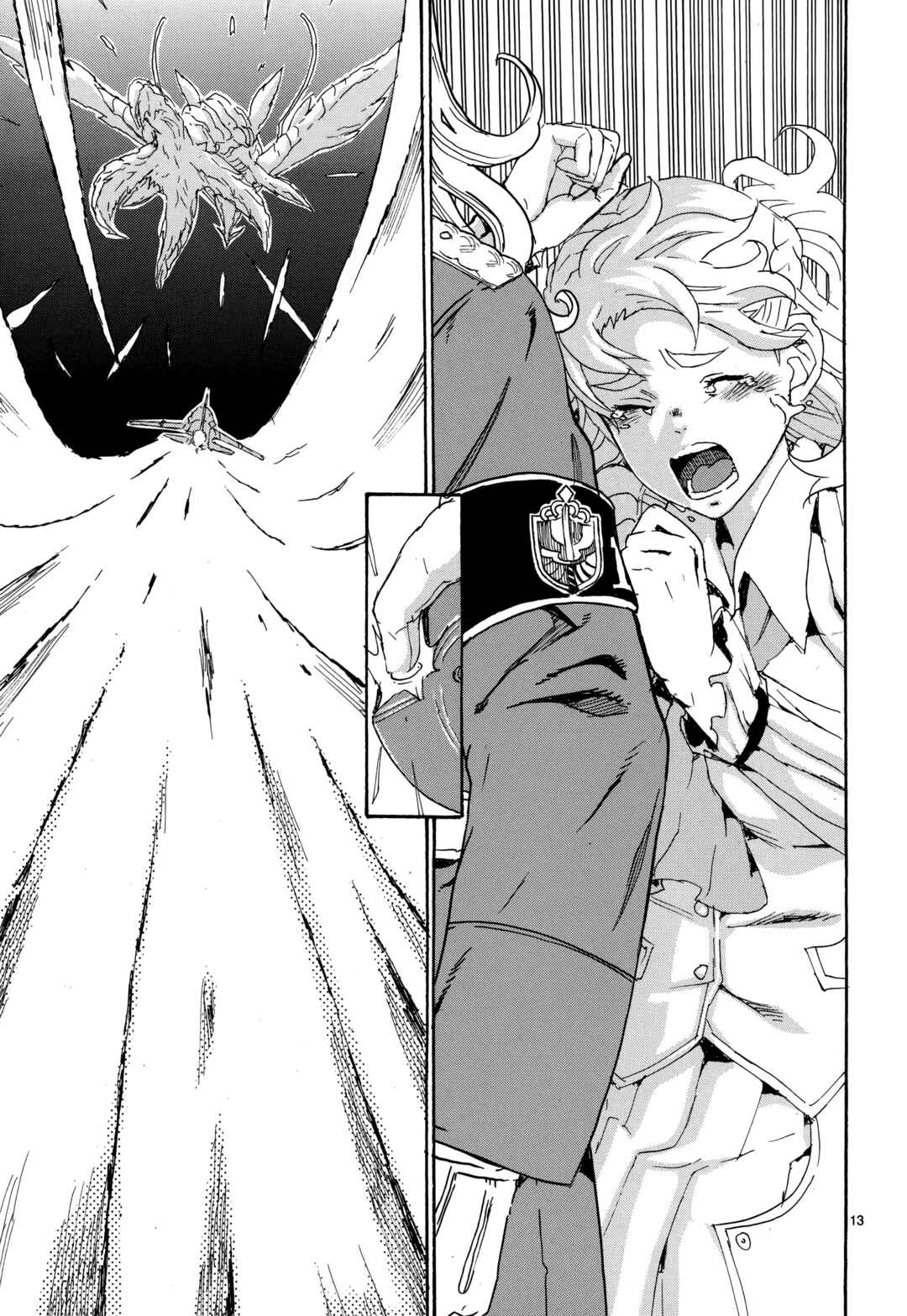 Page 13 Chapter 19 Eisen Flügel