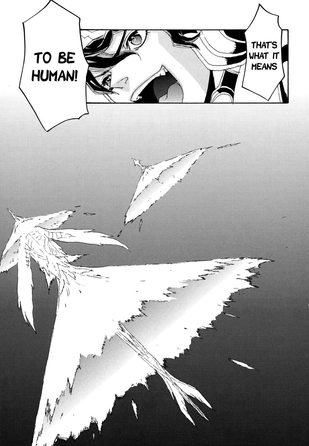 Page 17 Chapter 19 Eisen Flügel