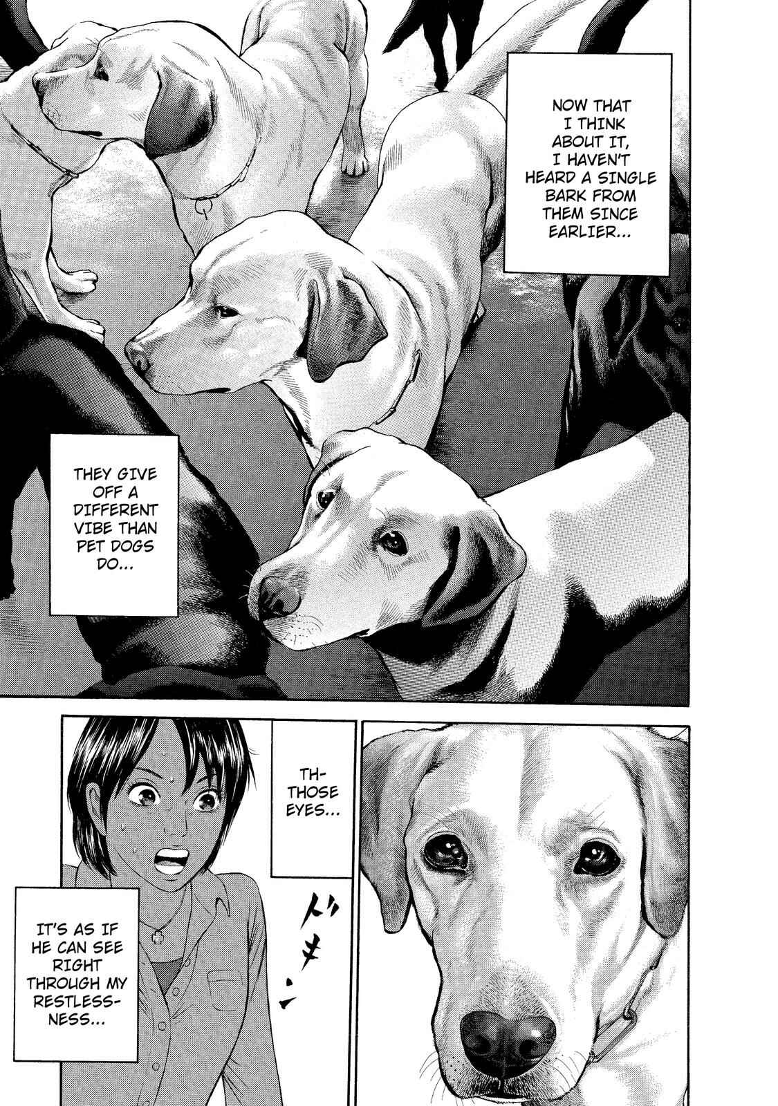 Page 14 Chapter 2 Nao Go Straight -Guide Dog Trainer-
